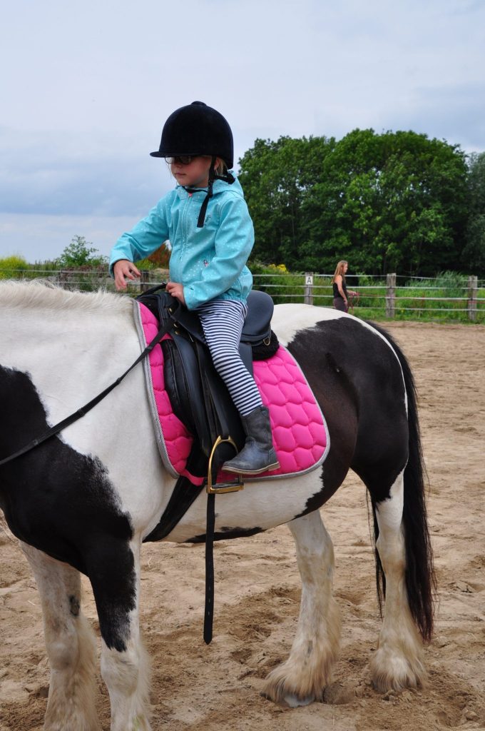 pony rijden