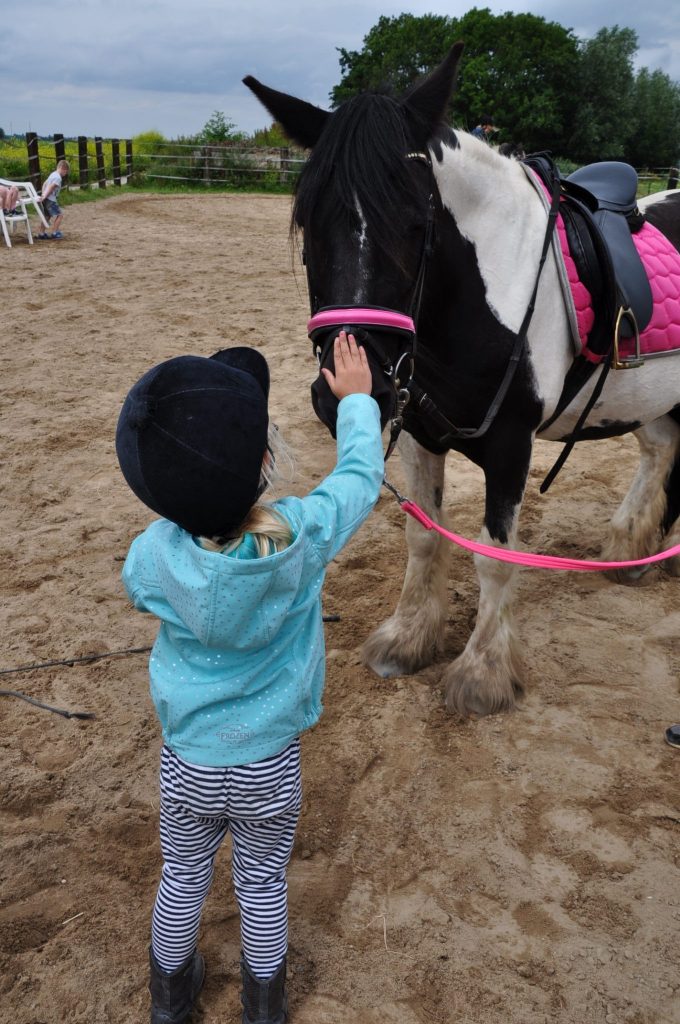 pony rijden