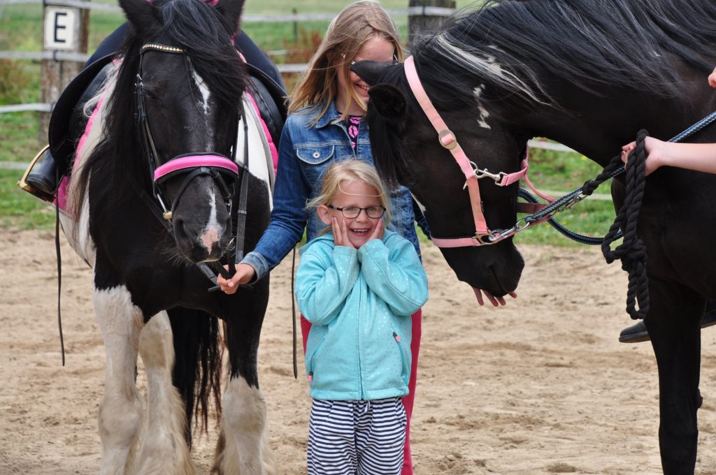 pony rijden