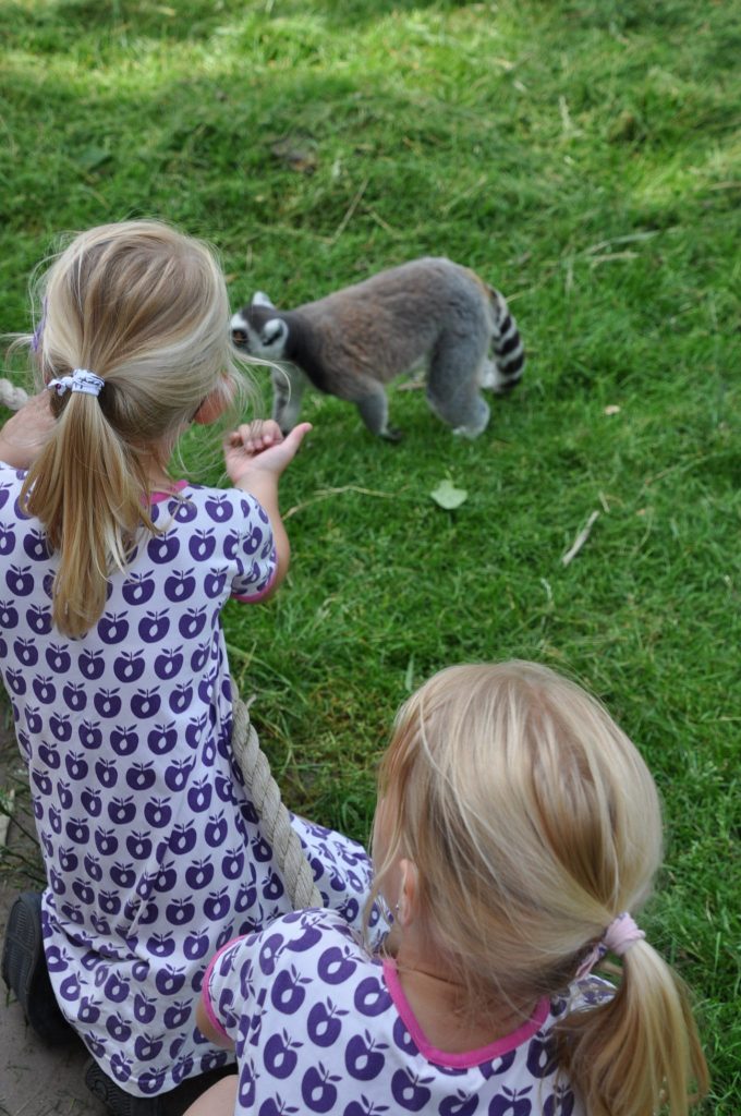 viespeukenweek dierenrijk