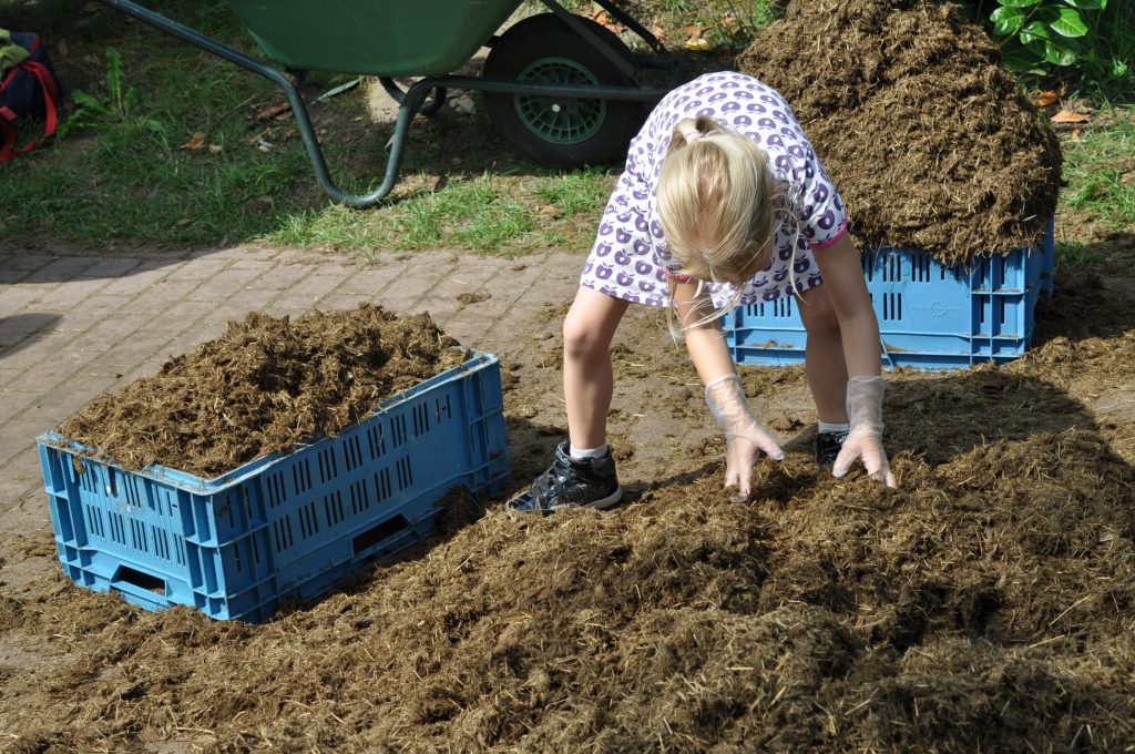 viespeukenweek dierenrijk