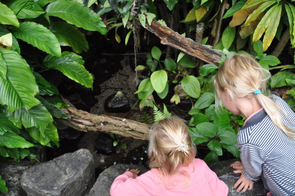 burgers zoo
