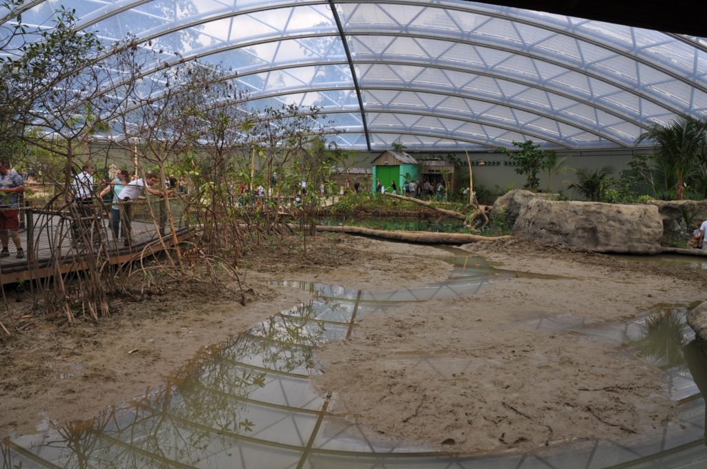 burgers zoo