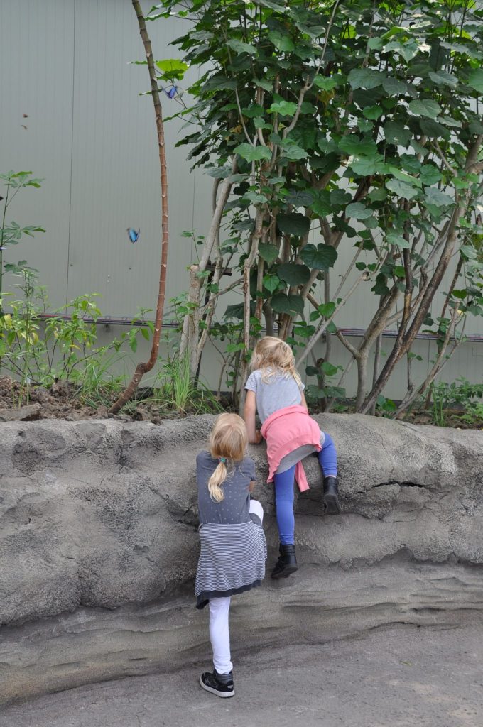 burgers zoo