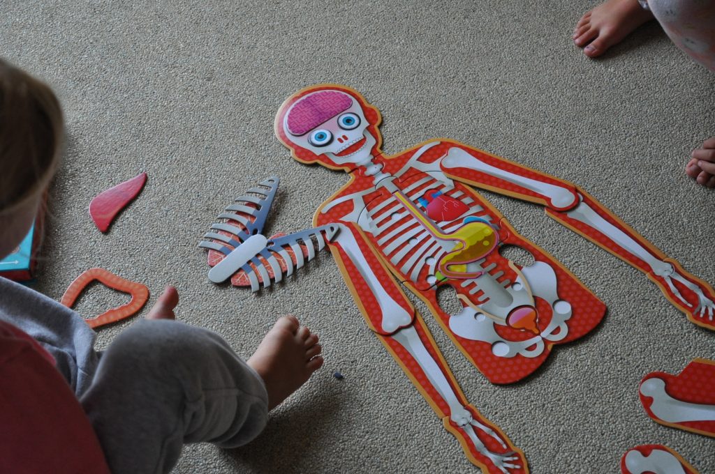 kinderboek mijn lichaam ik maak het zelf