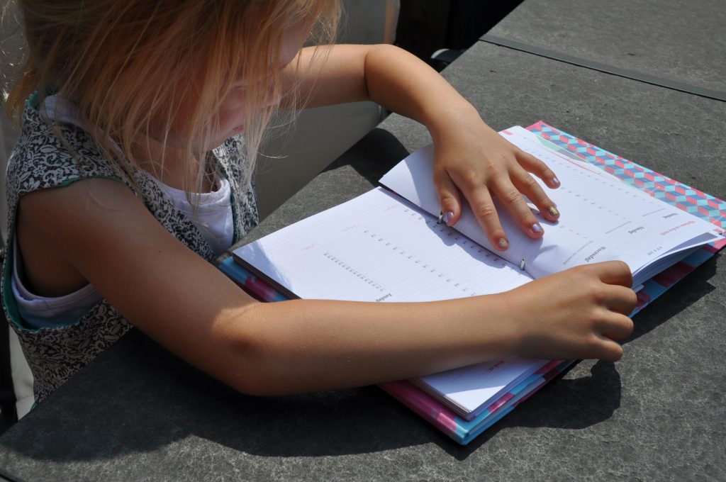 milly pie planner