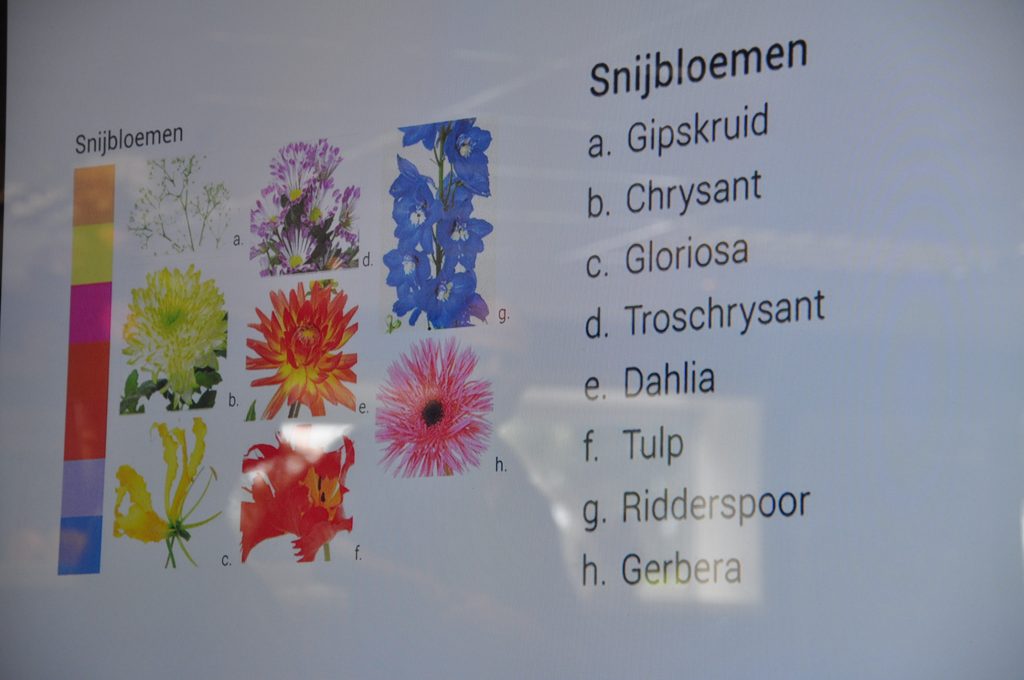 bloemstuk maken met chrystanten