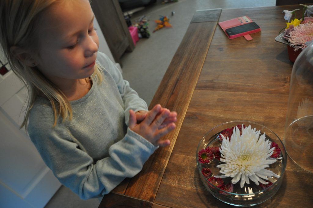 chrysanten thuis