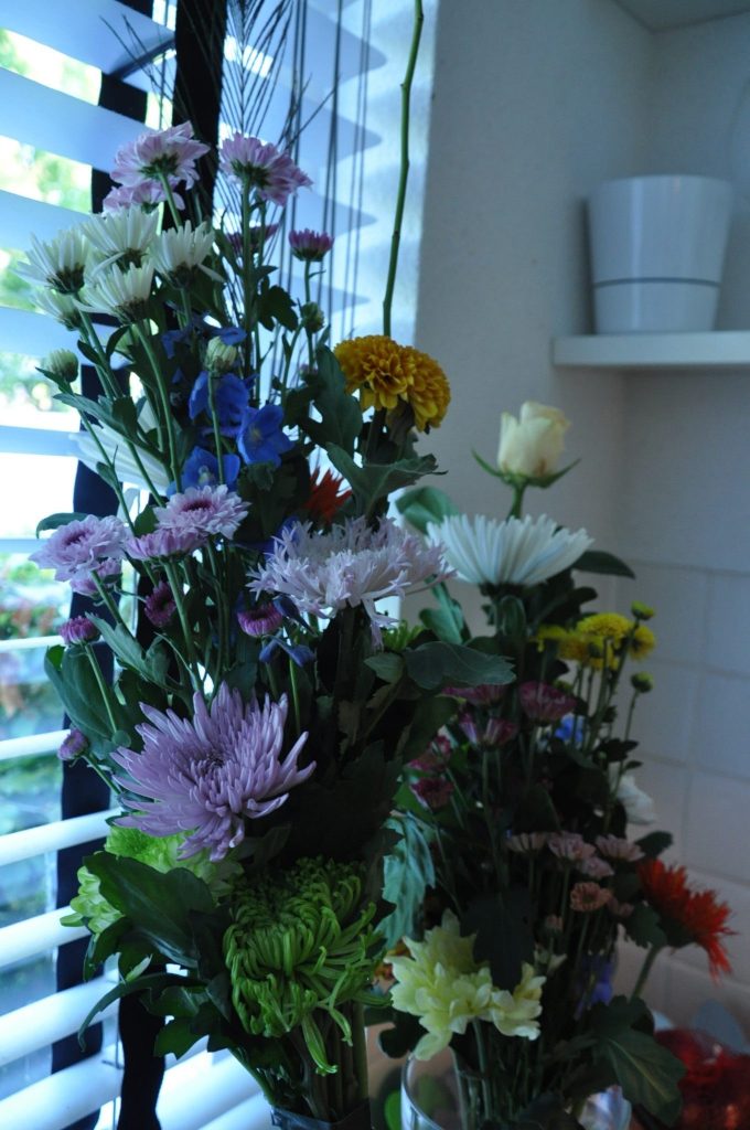 chrysanten thuis