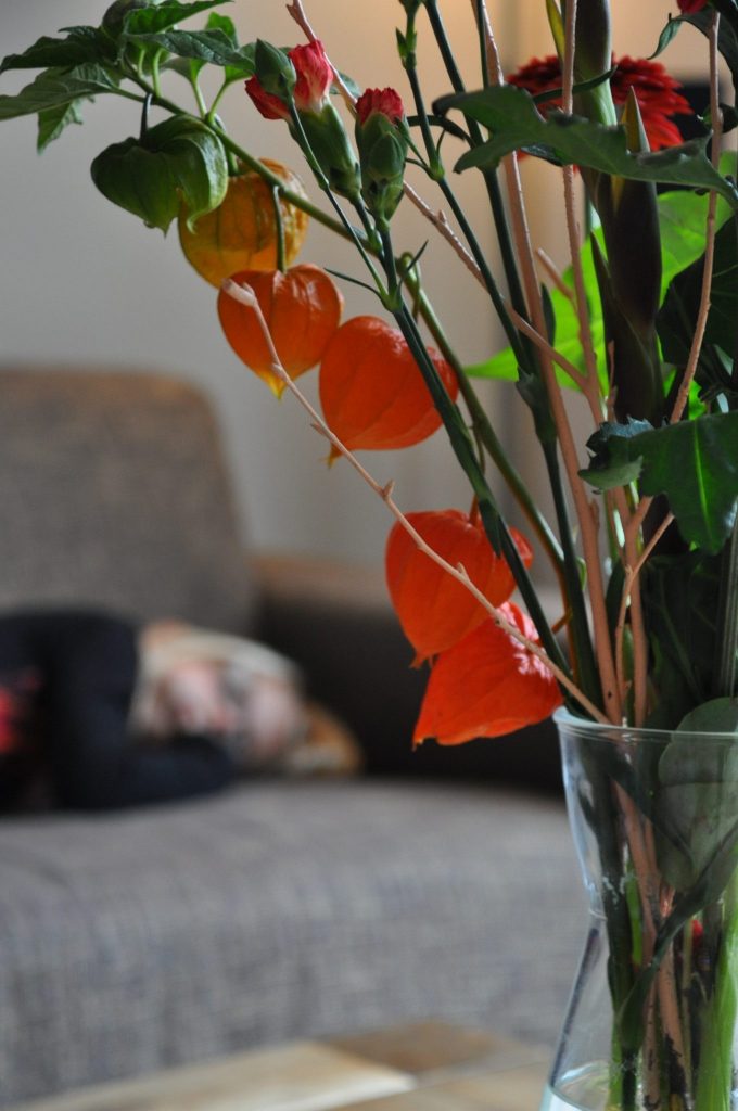 bloemen van greetz