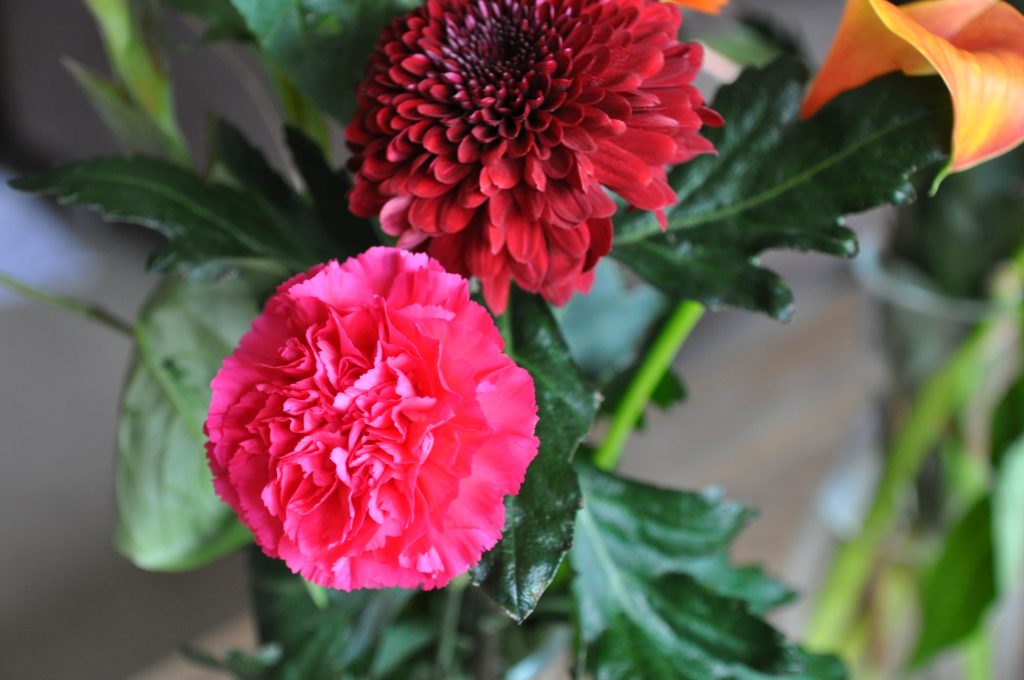 bloemen van greetz