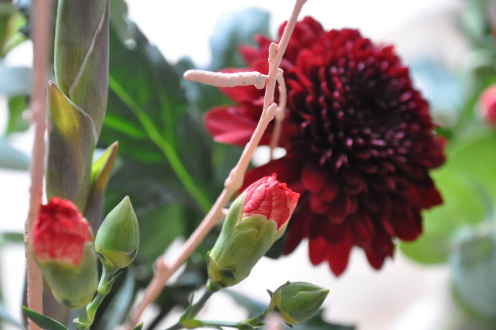 bloemen van greetz