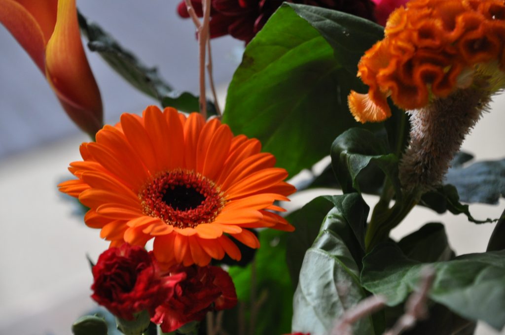 bloemen van greetz