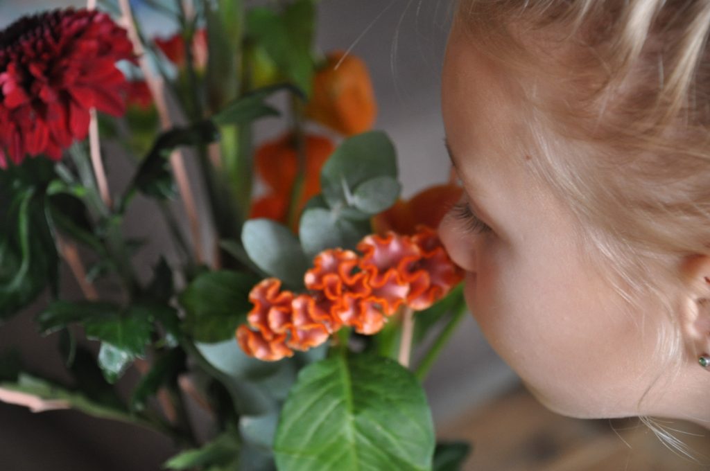bloemen van greetz
