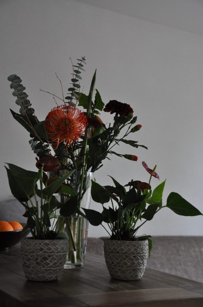 bloemen van greetz