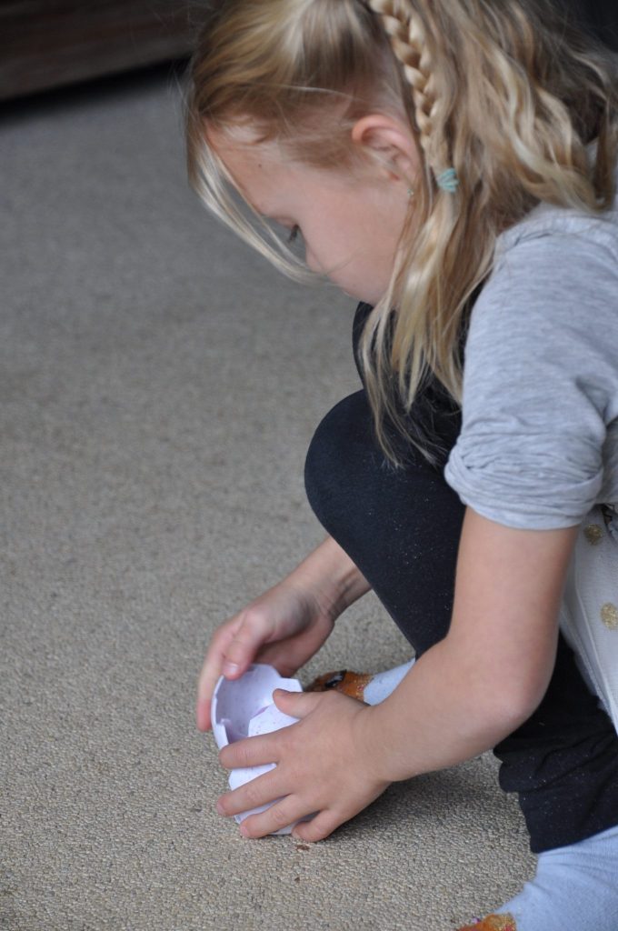 little live pets kuiken uit ei