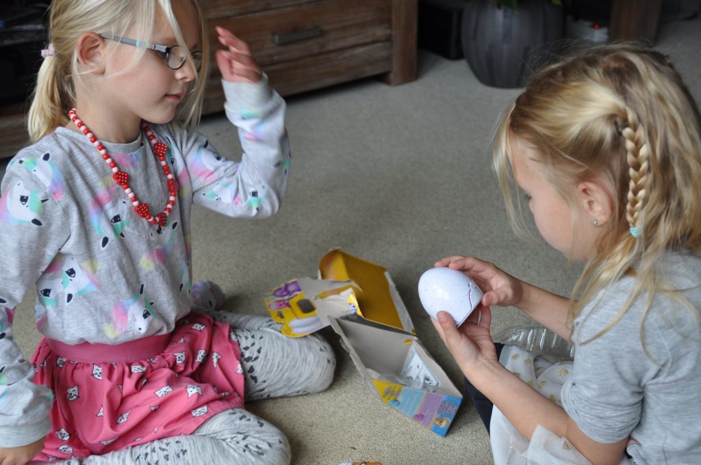 little live pets kuiken uit ei
