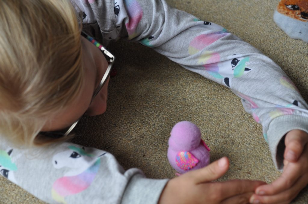 little live pets kuiken uit ei