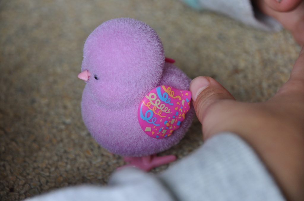 little live pets kuiken uit ei