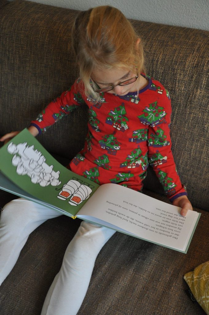 boek kerstmis dick bruna