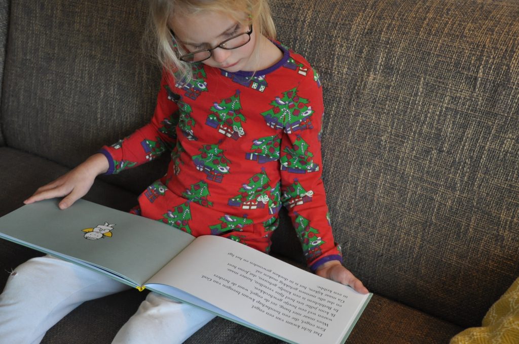 boek kerstmis dick bruna