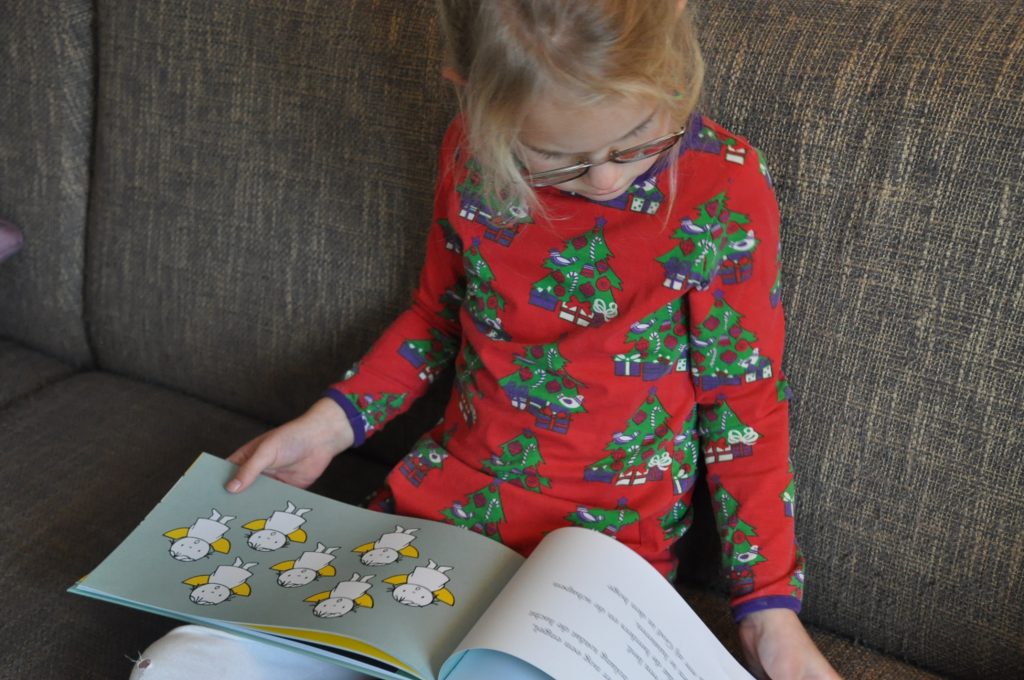 boek kerstmis dick bruna