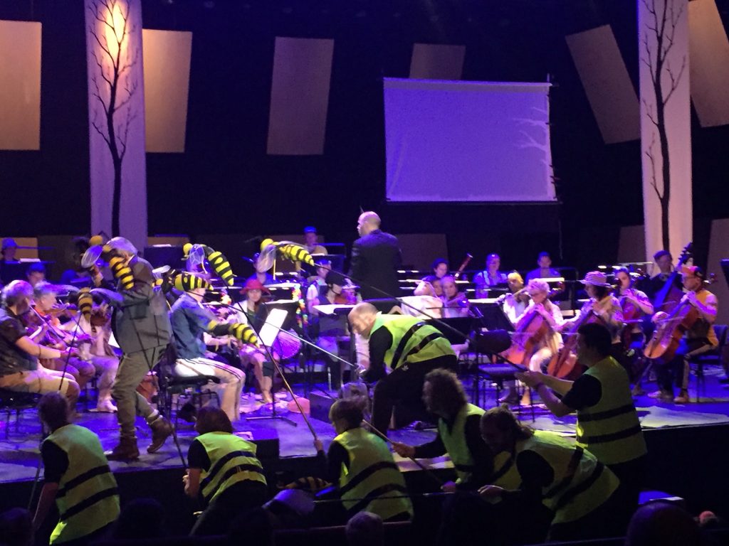 Peter en de Wolf kinderconcert
