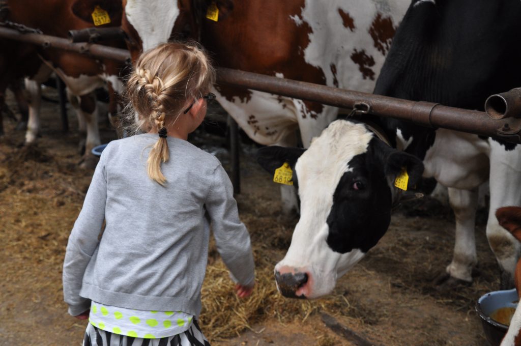 boerderij de deel