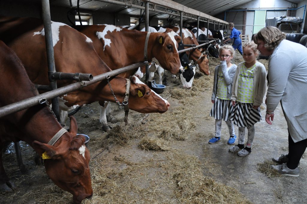 boerderij de deel