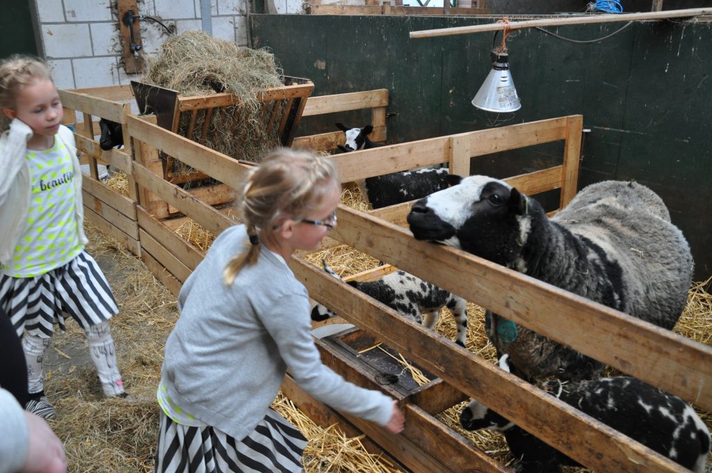 boerderij de deel