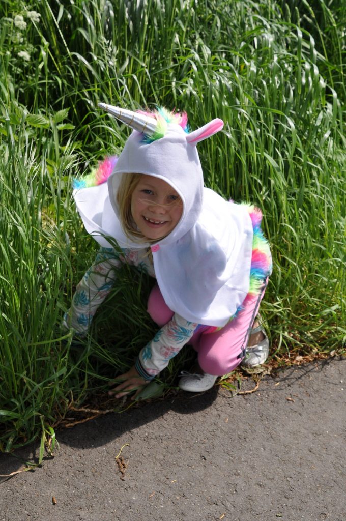 feestwinkel eenhoorn shoplog