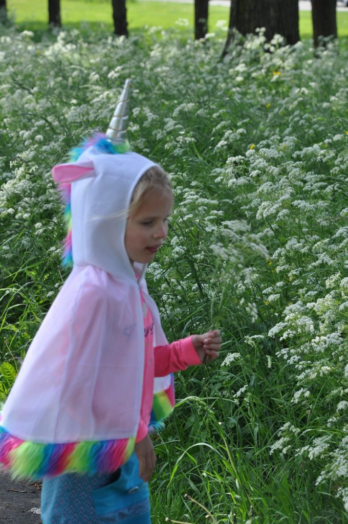 feestwinkel eenhoorn shoplog