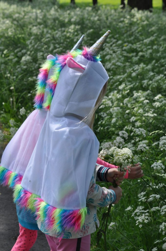 feestwinkel eenhoorn shoplog