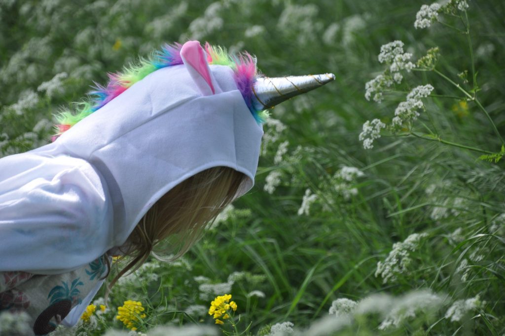 feestwinkel eenhoorn shoplog