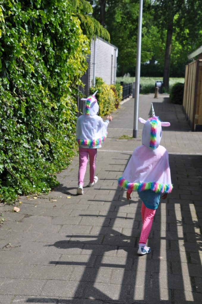 feestwinkel eenhoorn shoplog