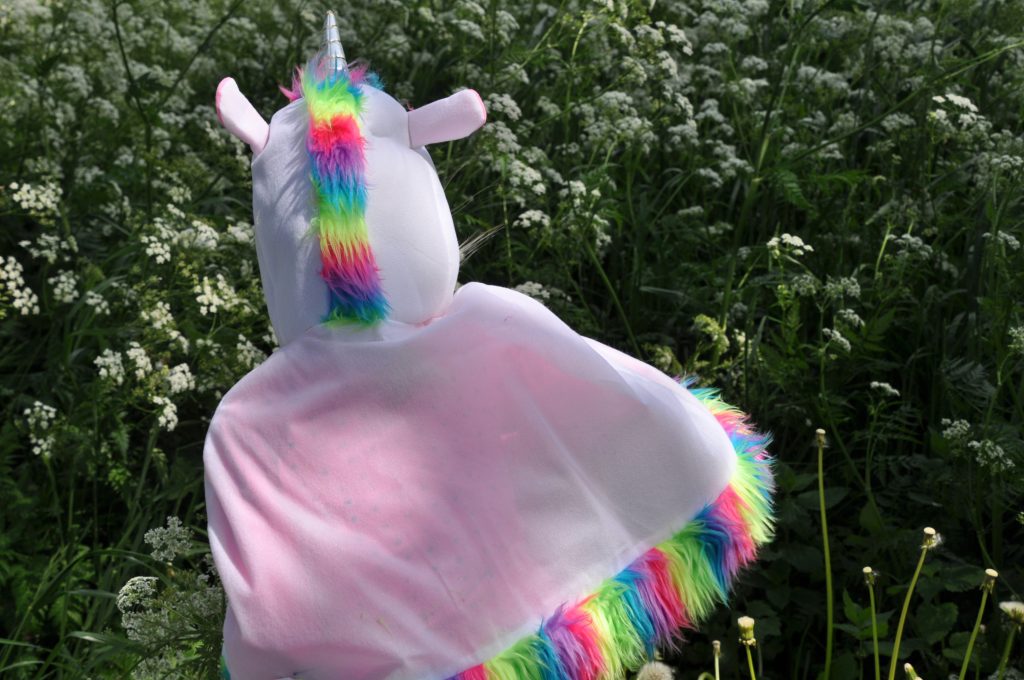 feestwinkel eenhoorn shoplog