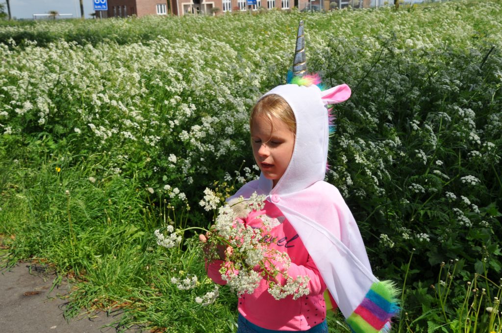 feestwinkel eenhoorn shoplog