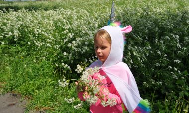 feestwinkel eenhoorn shoplog