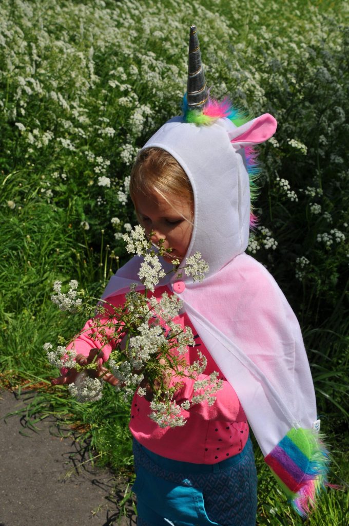 feestwinkel eenhoorn shoplog