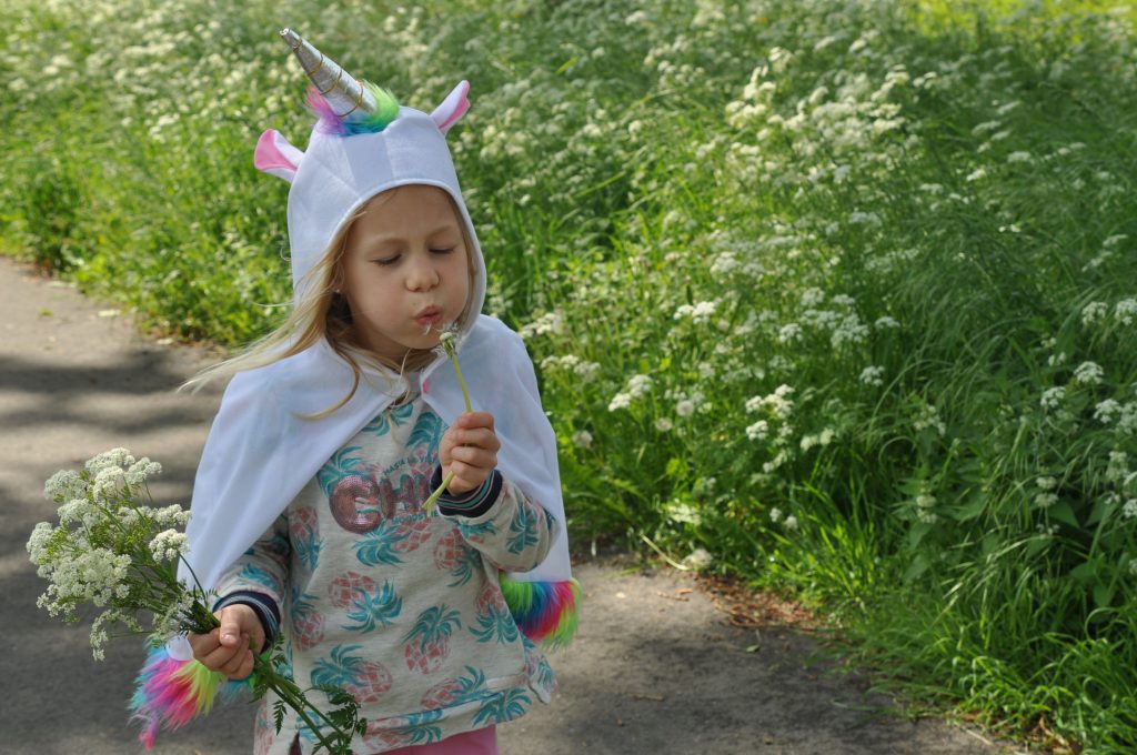 feestwinkel eenhoorn shoplog