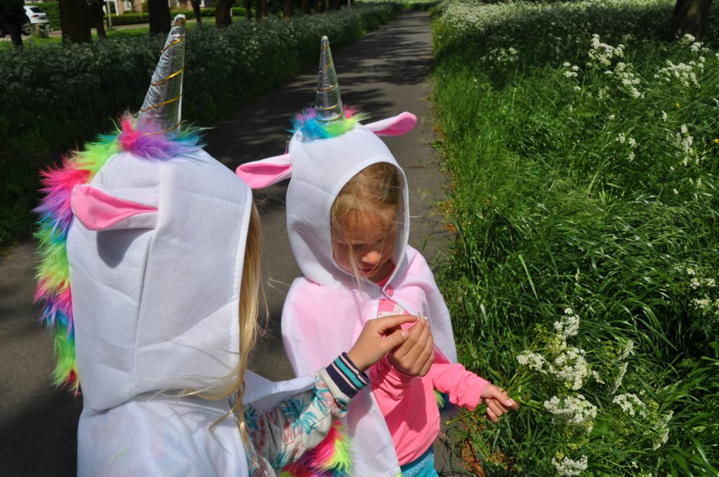 feestwinkel eenhoorn shoplog