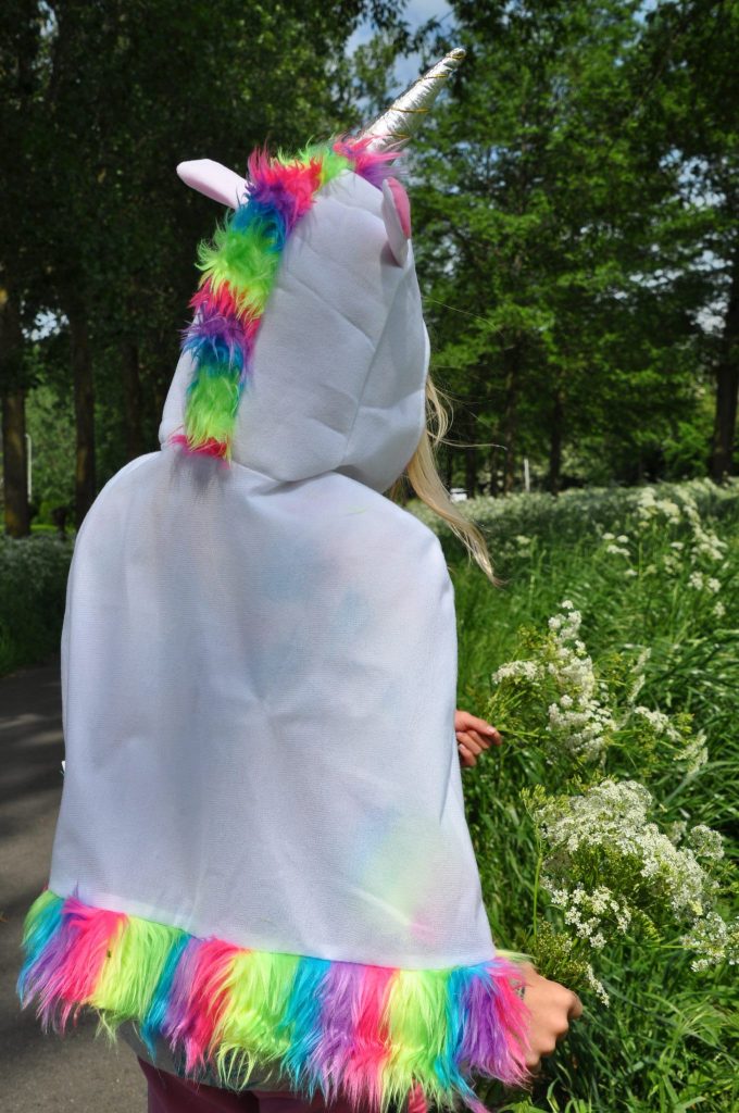 feestwinkel eenhoorn shoplog