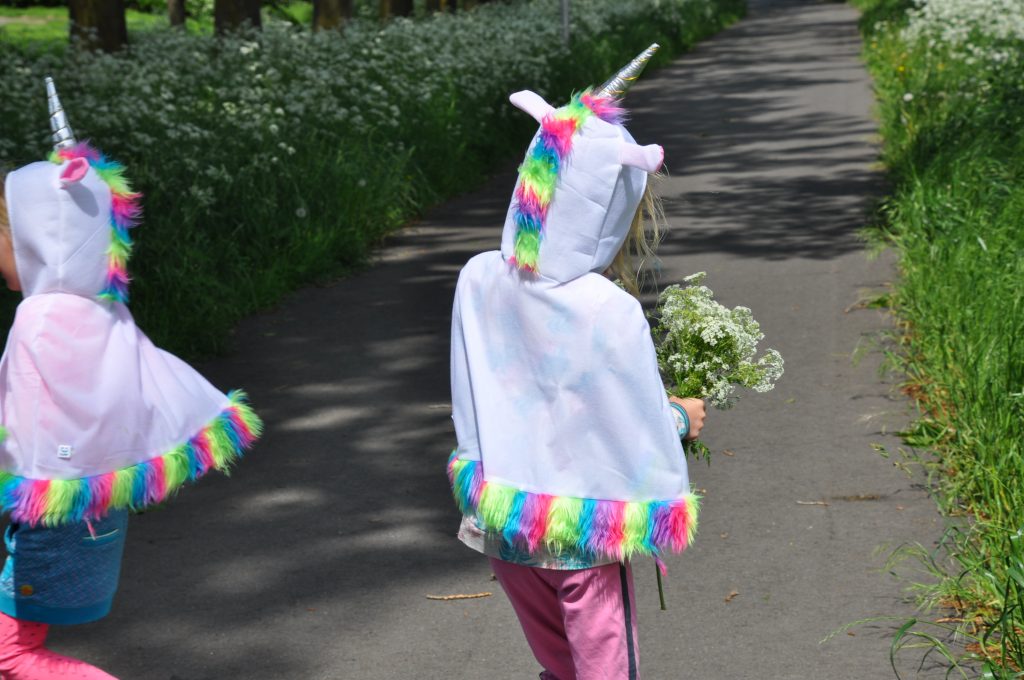 feestwinkel eenhoorn shoplog