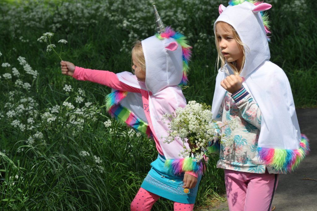 feestwinkel eenhoorn shoplog