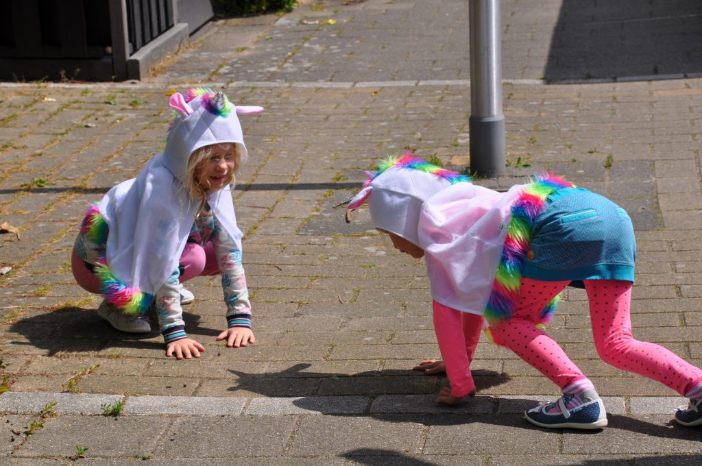 feestwinkel eenhoorn shoplog
