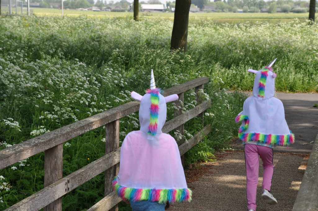 feestwinkel eenhoorn shoplog