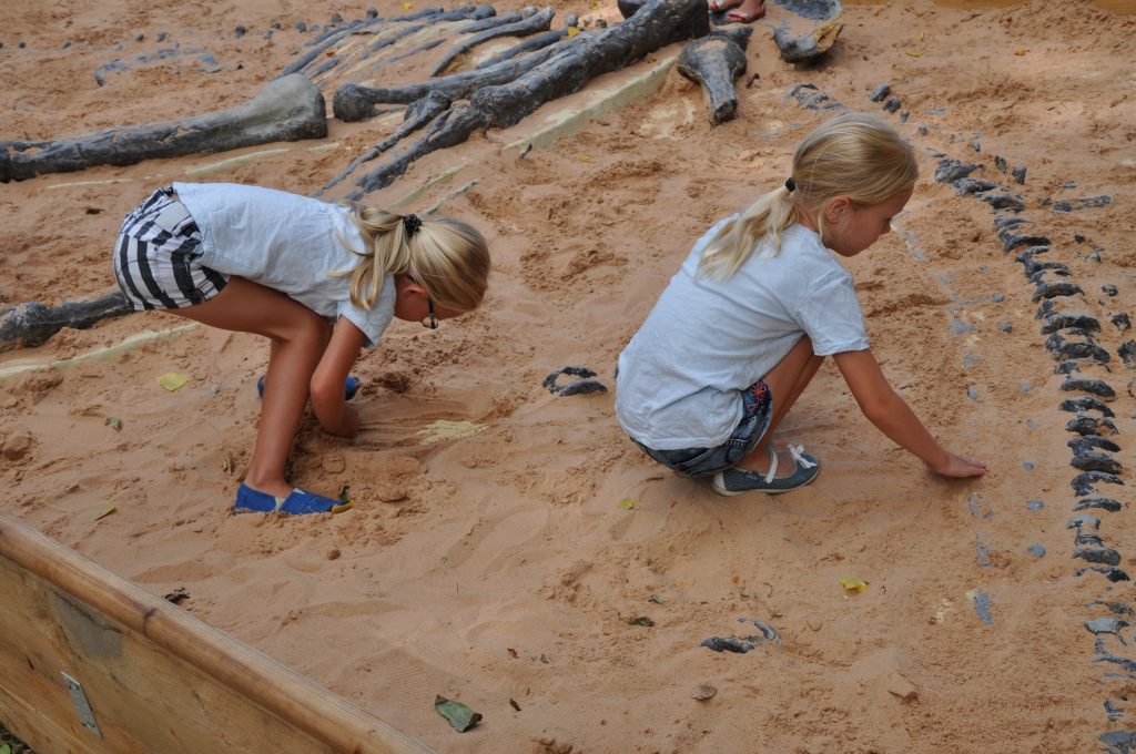 jurassic kingdom schiedam
