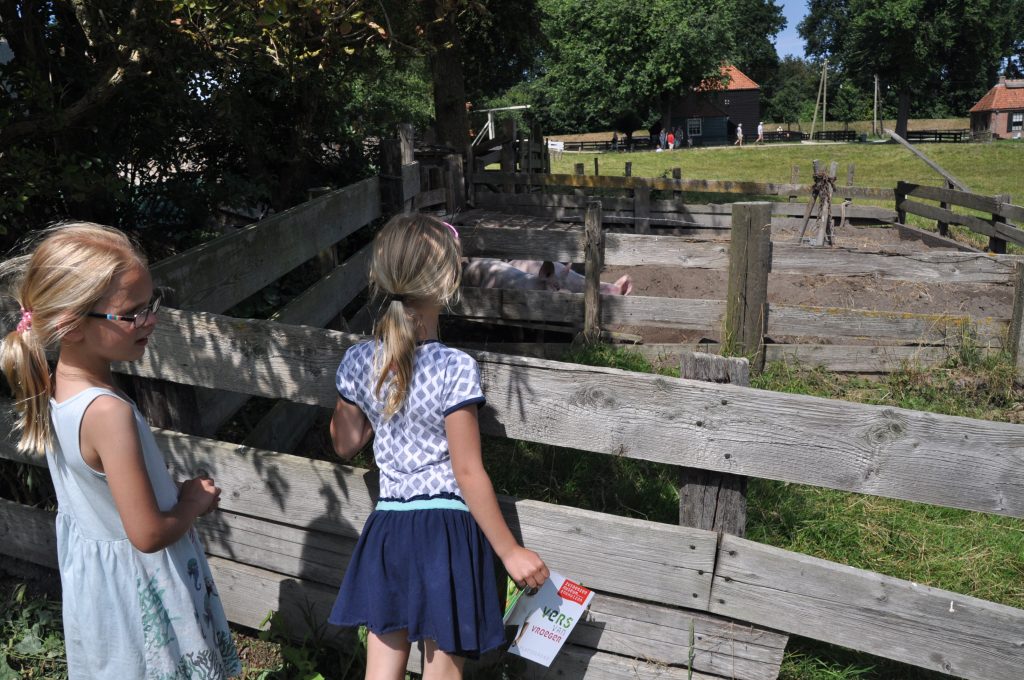 ervaring zuiderzeemuseum enkhuizen