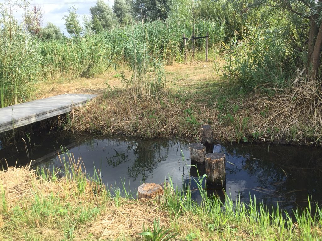 westland met kinderen