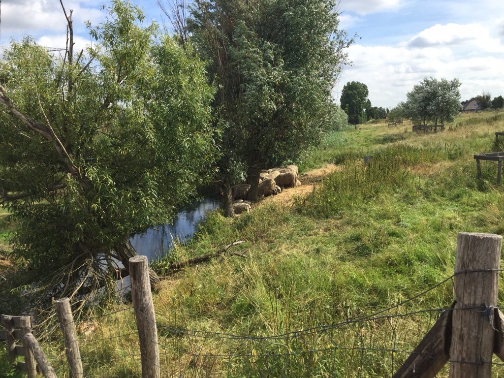 westland met kinderen